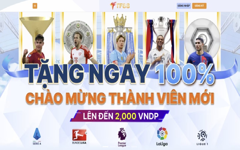 Sơ lược về nhà cái TF88